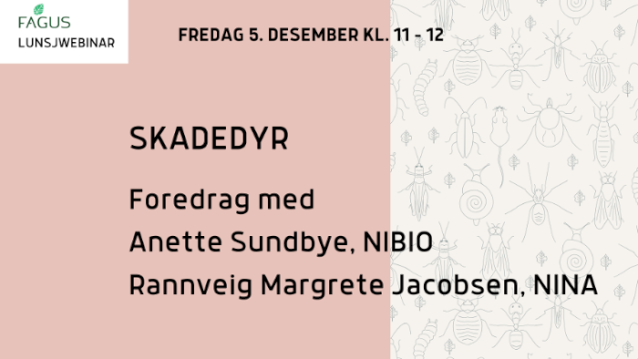 Lunsjwebinar: Skadedyr