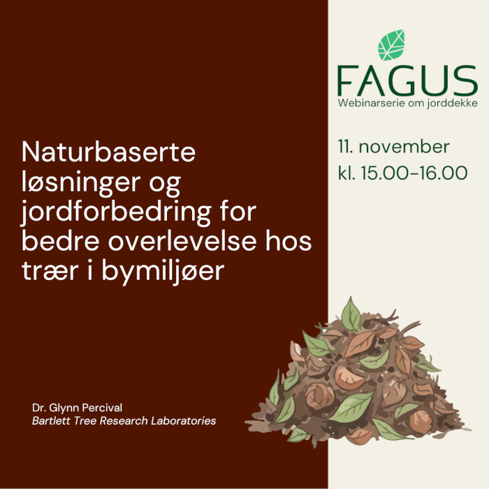 FAGUS webinar: Naturbaserte løsninger og jordforbedring for bedre overlevelse hos trær i bymiljøer