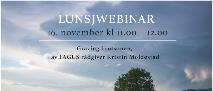 Graving i rotsonen