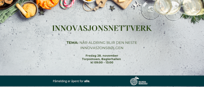 Innovasjonsnettverk – årets siste samling 28. november på Torpomoen