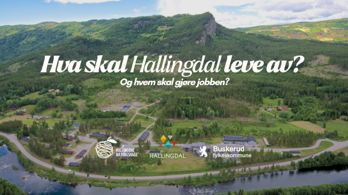 Hva skal Hallingdal leve av i fremtiden - og hvem skal gjøre jobben?