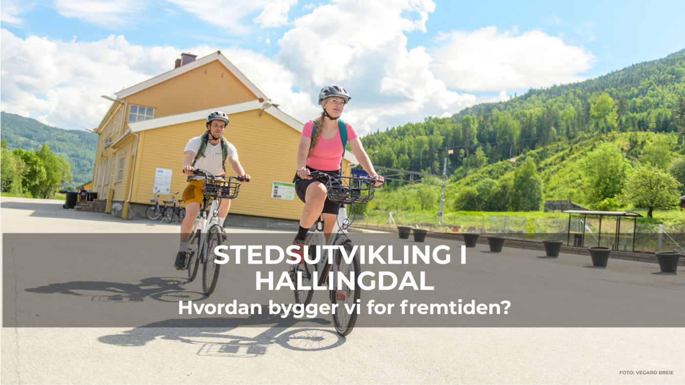 Stedsutvikling i Hallingdal, Hvordan bygger vi for fremtiden?