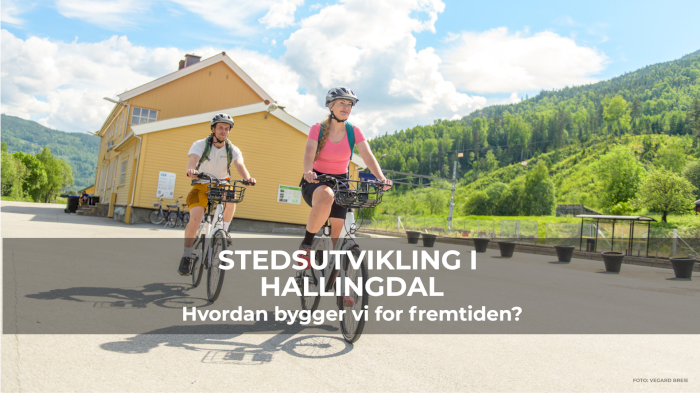 Stedsutvikling i Hallingdal, Hvordan bygger vi for fremtiden?