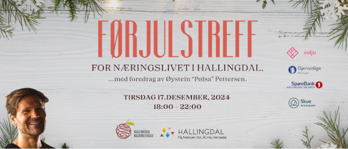 Førjulstreff for næringslivet i Hallingdal!