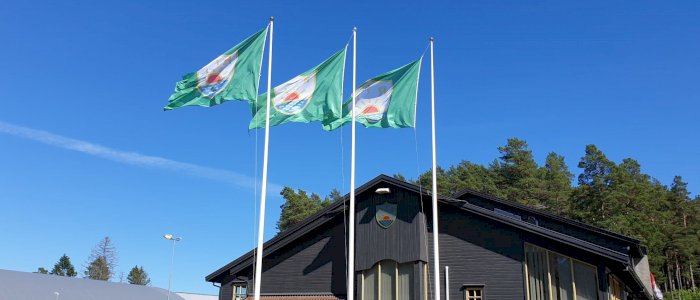 Bydelsfest