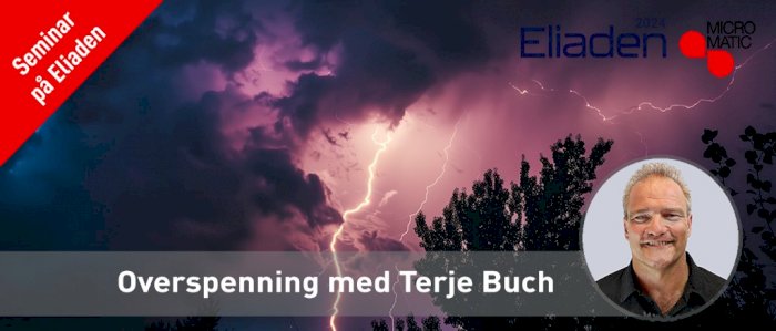 Som lyn fra klar himmel: Hva du bør vite om overspenningsvern