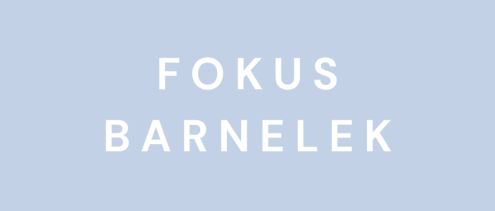 Fokus Barnelek