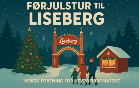 Førjulstur til Liseberg