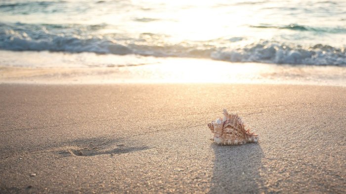 Sommertur Agder, Vestfold og Telemark
