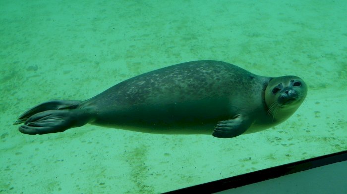 Vår-treff - Møre og Romsdal