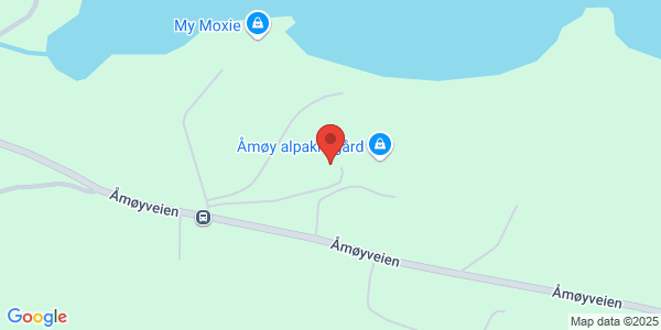Map displaying event location