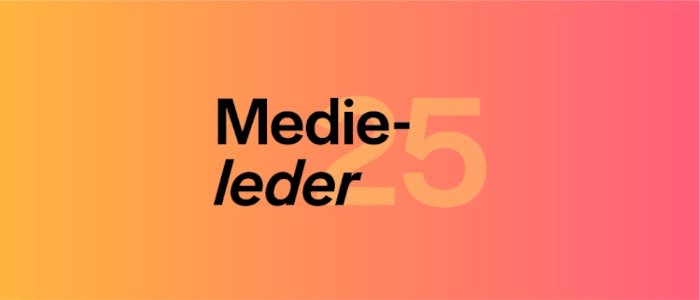 Medieleder 2025