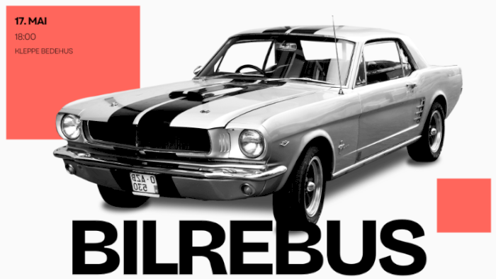 Bilrebus