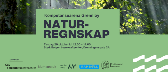 Temamøte Naturregnskap