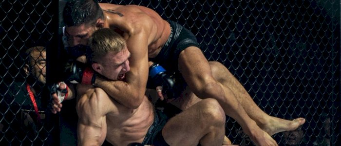 Spartacus Fight Night 4
