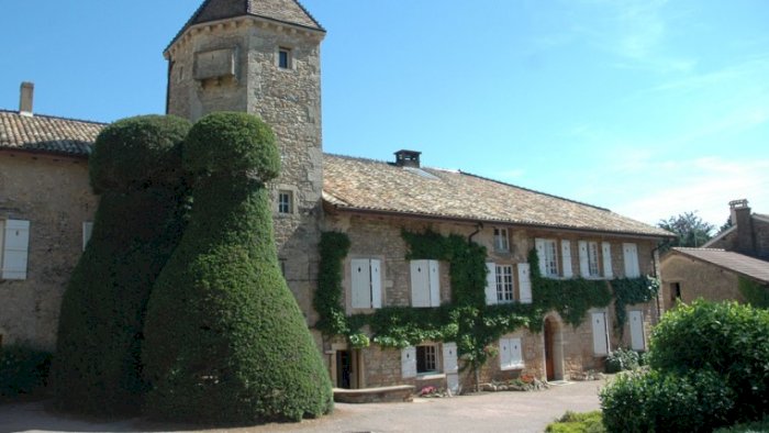 Vinkurs - CHÂTEAU FUISSE – en ikonisk vingård i Burgund.