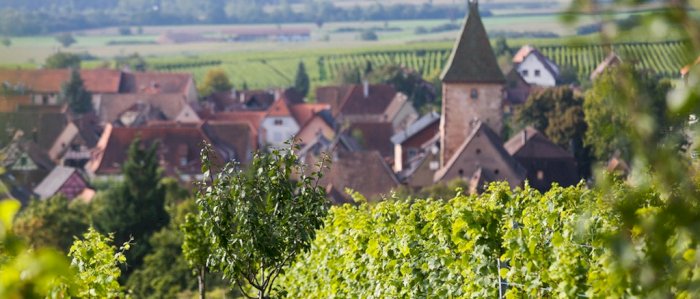 Kurs - Vinsmaking med Domaine Marcel Deiss fra Alsace