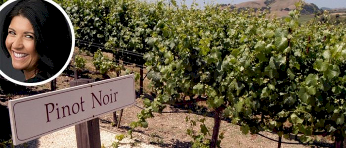 Vinkurs med Liora Levi: «Pinot noir fra California»