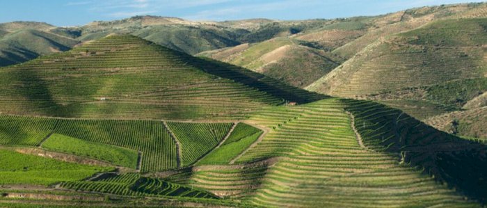 Vinmesse - «Portugal i Oslo»