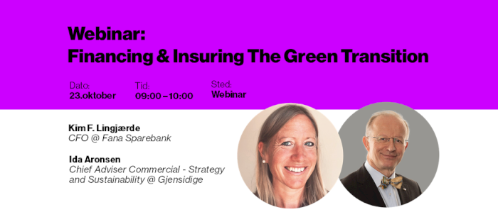 Financing & Insuring the Green Transition