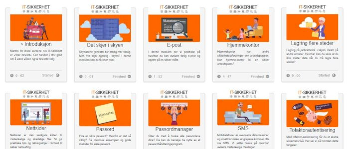 IT sikkerhet - full pakke