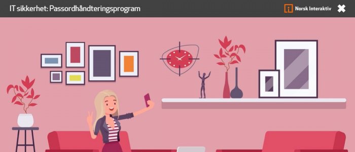 IT sikkerhet - mer avansert