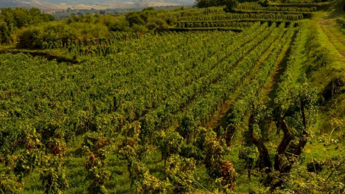 After Work: Italia og Aperitivo