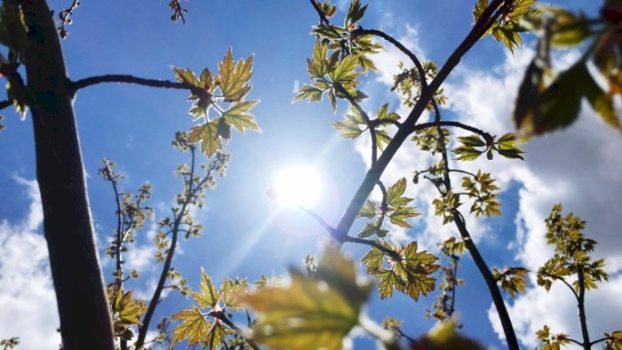 After Work: Sommer, sol og spritz