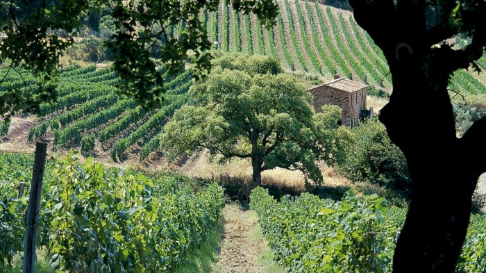 Bli kjent med Toscana!