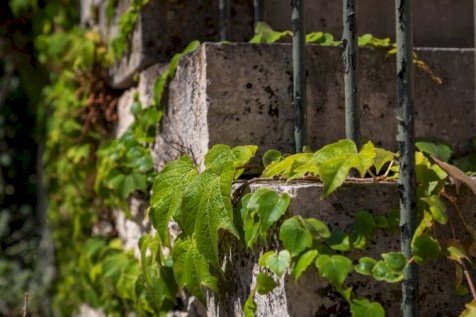 Burgundsmaking med Domaine Belleville & vinmaker Charles Nebout
