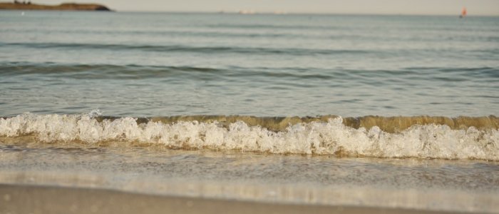 Surfefredag
