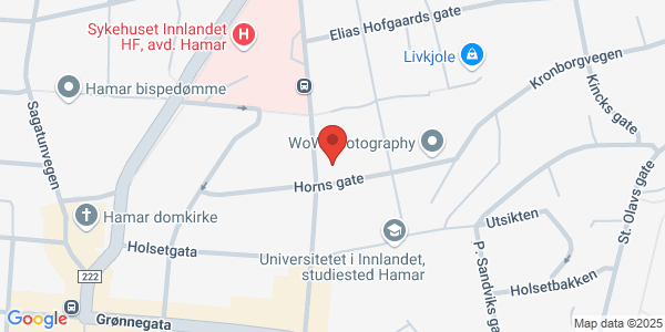 Map displaying event location