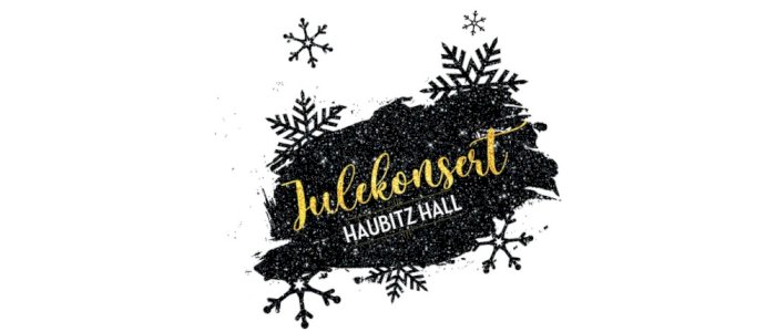 Julekonsert Puls Kristiansand kl 19:30