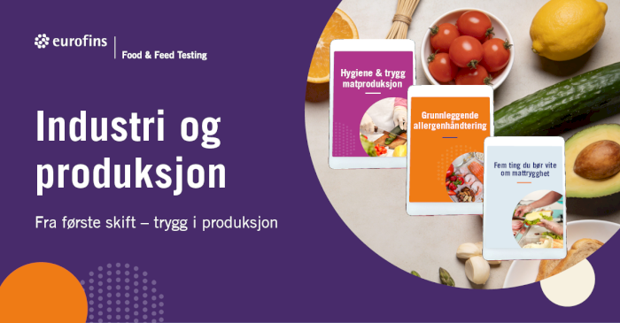 Fra første skift – trygg i produksjon
