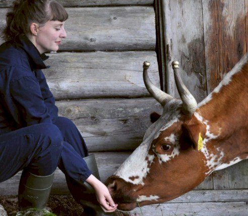 Grønne greier | Et bærekraftig bondeliv