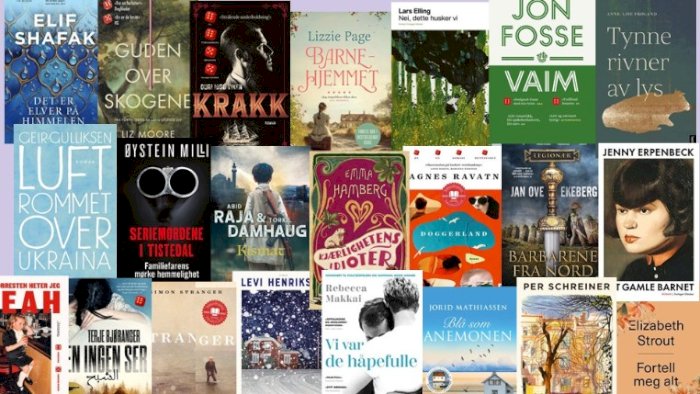 Årets bøker | Bibliotekarene anbefaler godbiter fra 2025