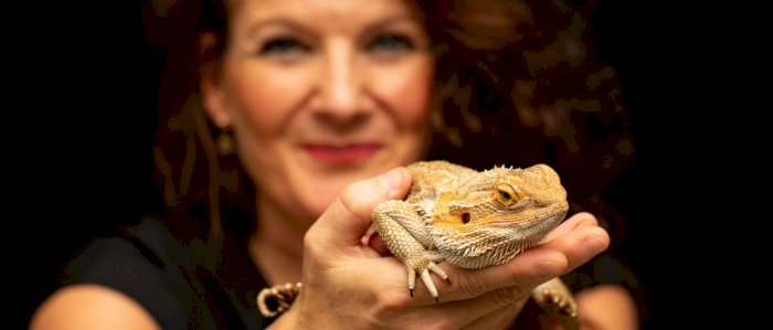 Isfest for sommerlesere Frogner