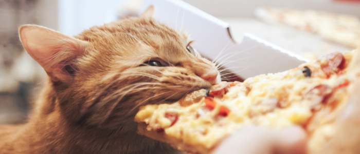 Ungdomstorsdag | Kickoff med fritorsdag + pizza og snacks