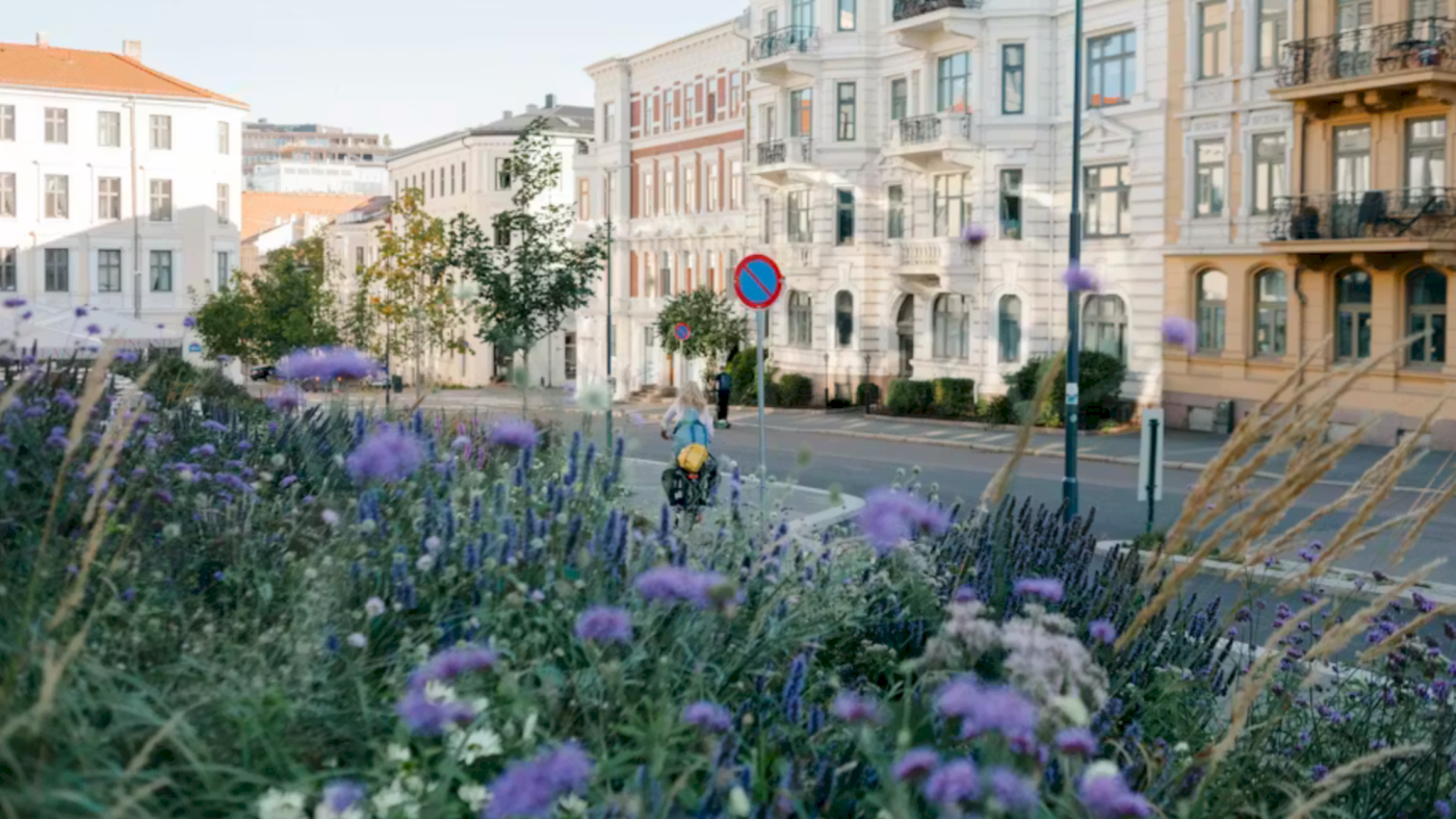Kurs: Planter for fremtidens grøntanlegg - Robuste løsninger for klimatilpasning og gode byrom