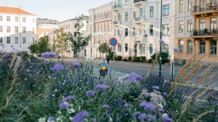 Kurs: Planter for fremtidens grøntanlegg - Robuste løsninger for klimatilpasning og gode byrom