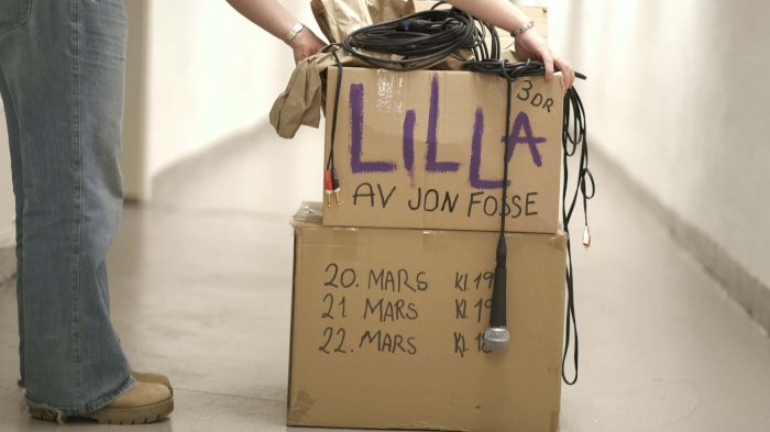 Forestilling "Lilla" av Jon Fosse med 3DR, Vågsbygd vgs