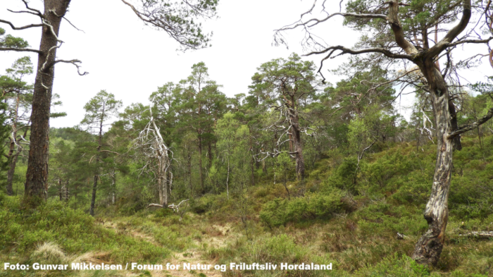 Påmelding til Kartleggingssamling Bjørnafjorden og Bergen