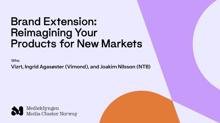 Brand Extension: Reimagining Your Products for New Markets
