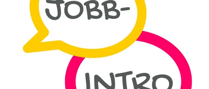 Jobb-intro kurs