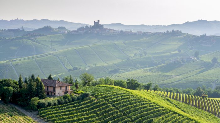 ITALIENSK HELAFTEN - MED 4 FANTASTISKE PRODUSENTER
