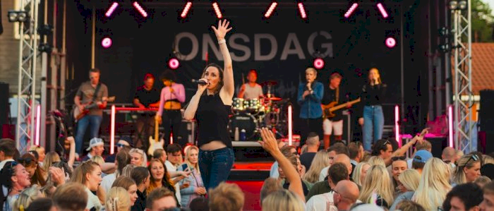 Onsdagsbandet - Sommer i Bakgården