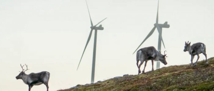 SIRDALSEMINAR  - Vindkraftplaner i Sirdal