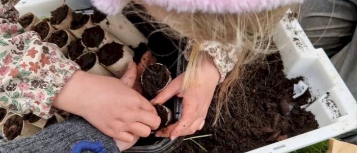 Informasjonswebinar om skolehager i Trøndelag