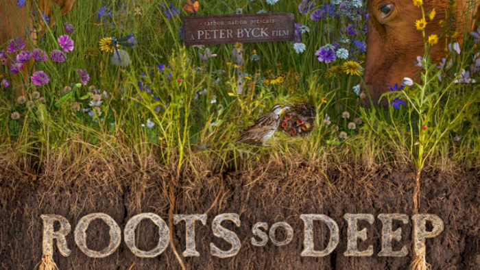Roots so deep - hjemmekino i september, Økouka 2025