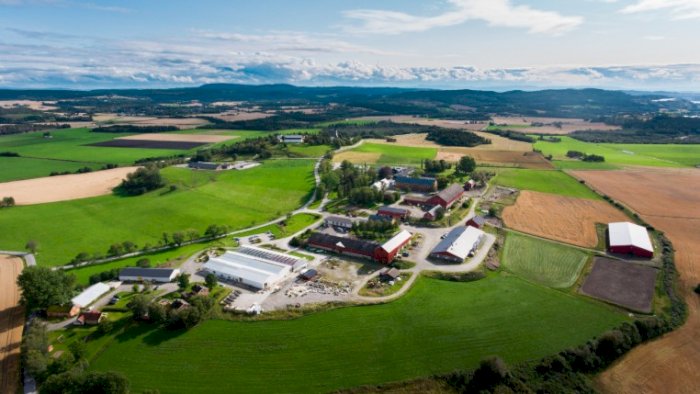 Grønn innovasjon i praksis – Mære som testarena